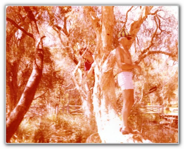 Dad in tree
